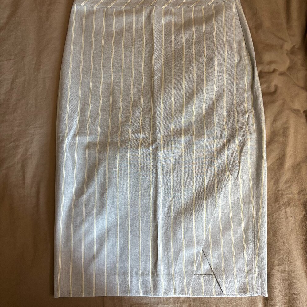 Banana Republic Pencil Skirt